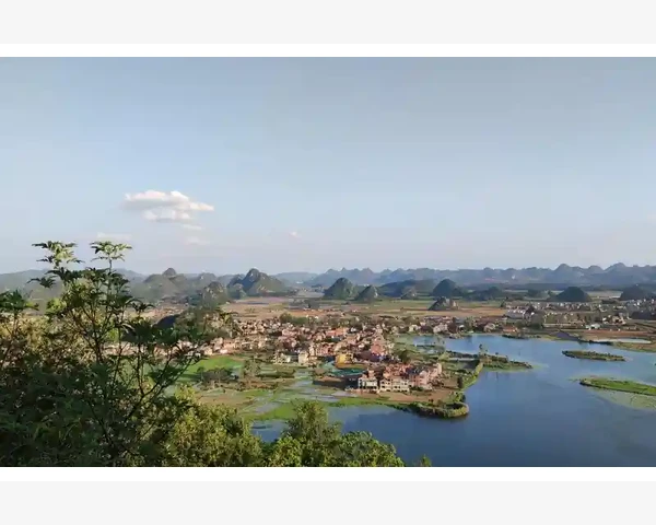 中药的湿气调理：天然健康的选择！